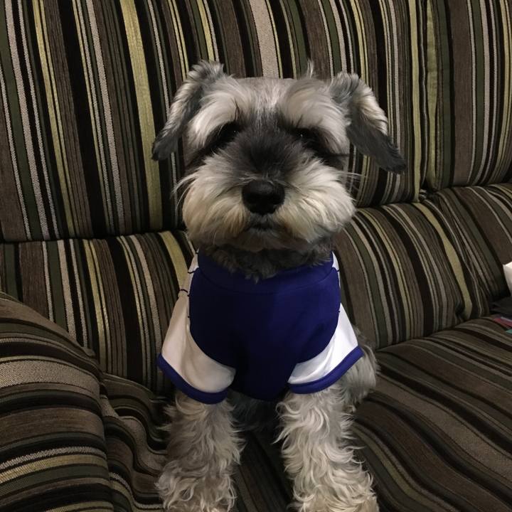 6781e510 bf4f 4ac6 909a b8876b10445f