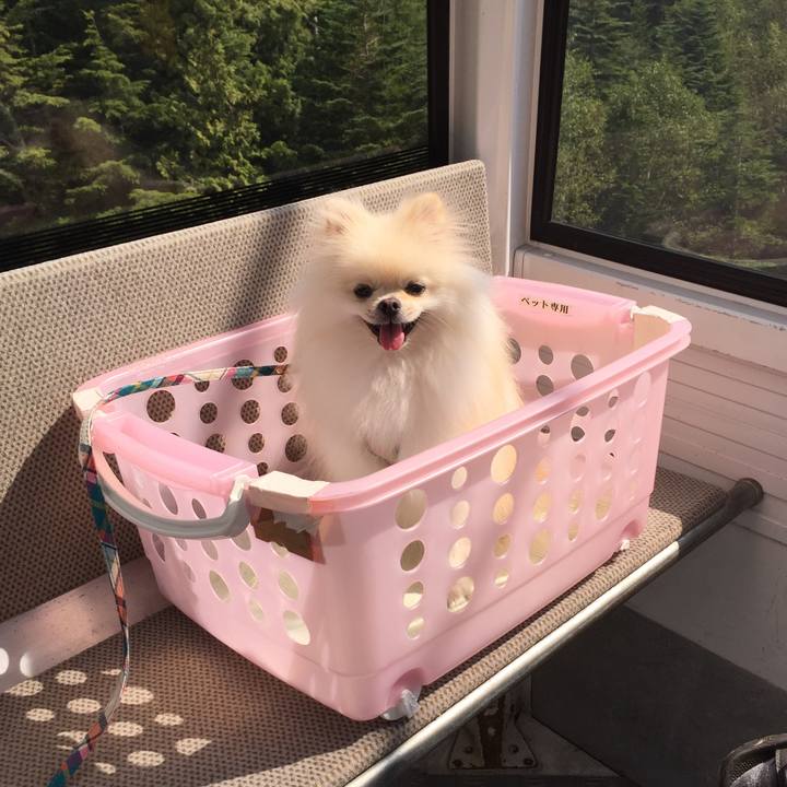 6781e63c 64a4 40ff b120 bfe5411c619b