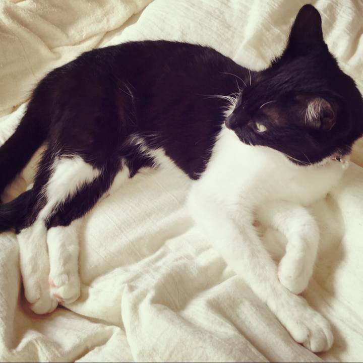 67821ba8 3584 414a a2bf 6ad8d8b8b64b