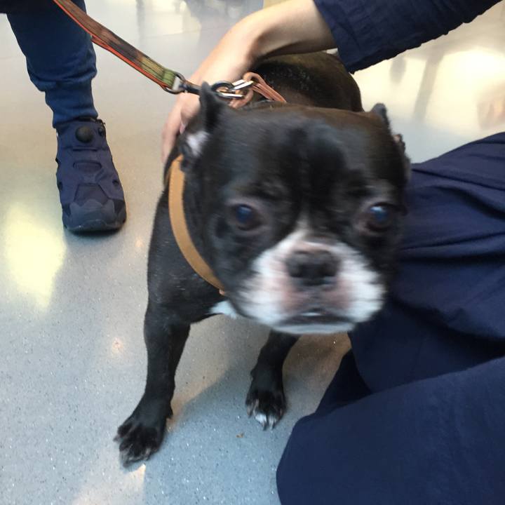 67821ce2 9a99 4570 bc1e 6db9afc5e8a3