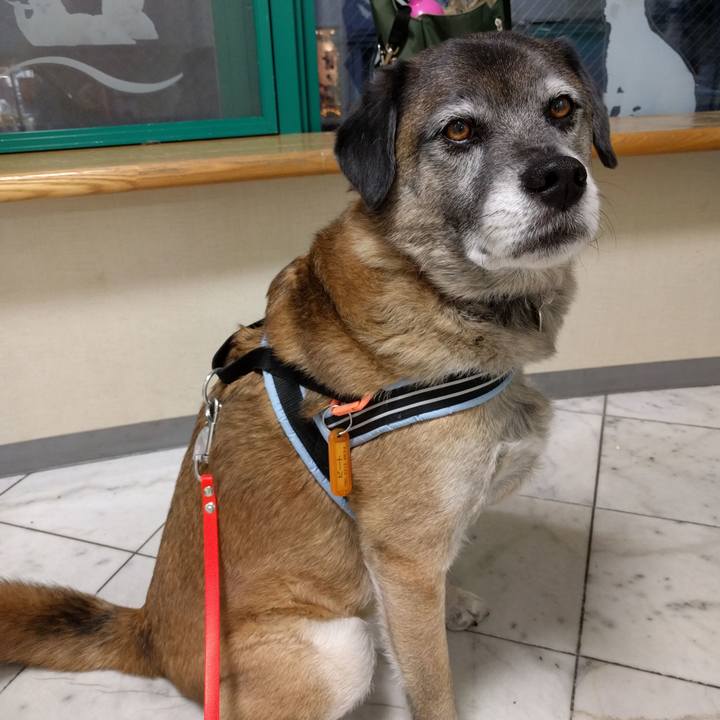 67828f8f 0f6d 4d46 9a77 c60c05d3d2b5