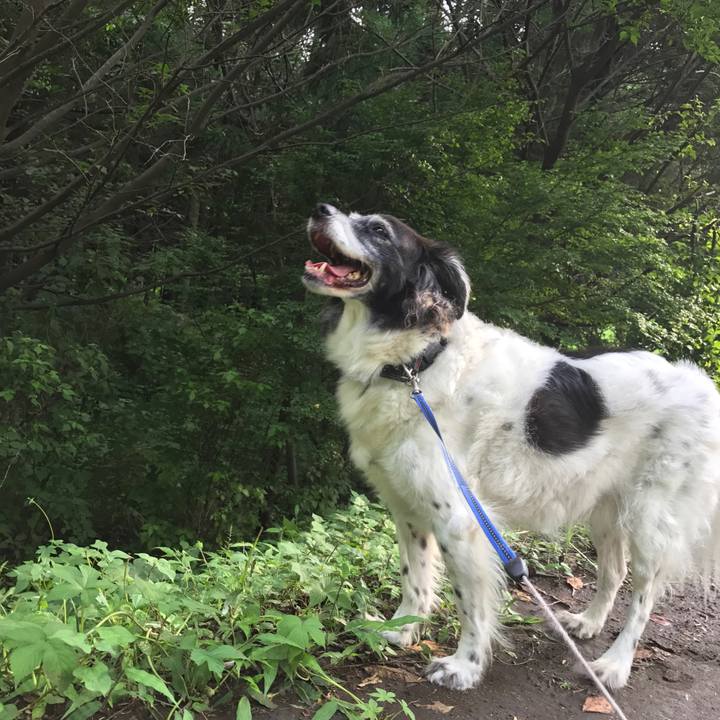 6782bade bc8c 471e b1d8 b490aced13a8