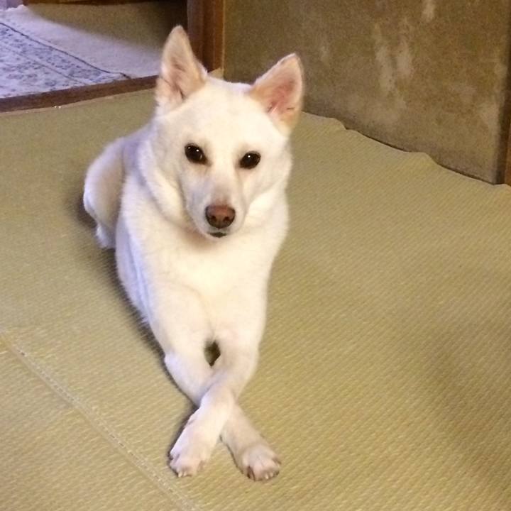 6783136b 95b8 40e1 9449 921b68d039de