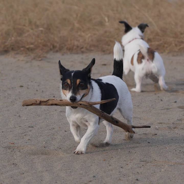 678315ff d35f 43f9 95fc e2fcf1996758