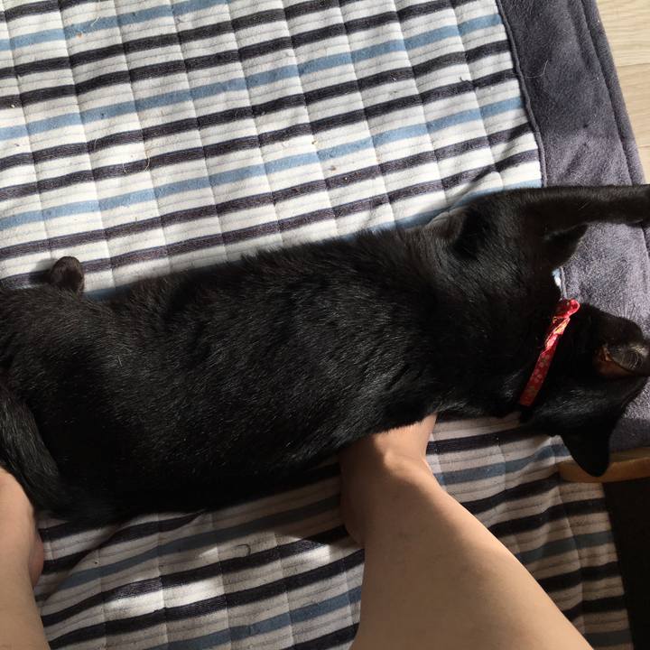 67831629 8dd8 4b1d afa2 7fe7c9206d8e