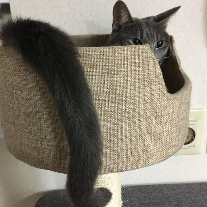 67832602 965f 484e a111 694aff2b325c