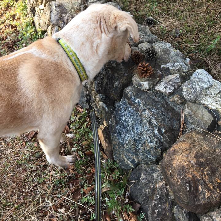 678577df b409 41fc 9b10 d43d5b059506