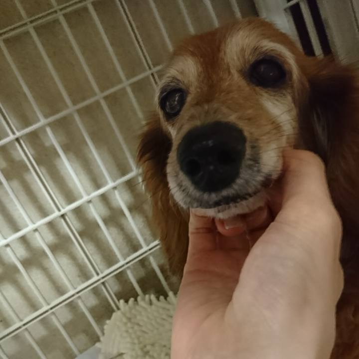 6785aade b08a 4964 b3a0 0bb64ceaed7b