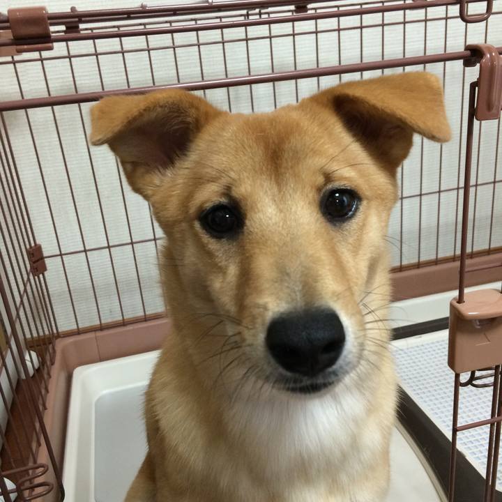 67860fa4 ff94 406d bcd2 e0845e339792