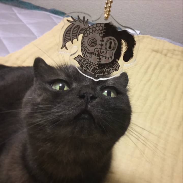 67861d21 7c32 4d65 8ea5 cbb06e9c5c9d