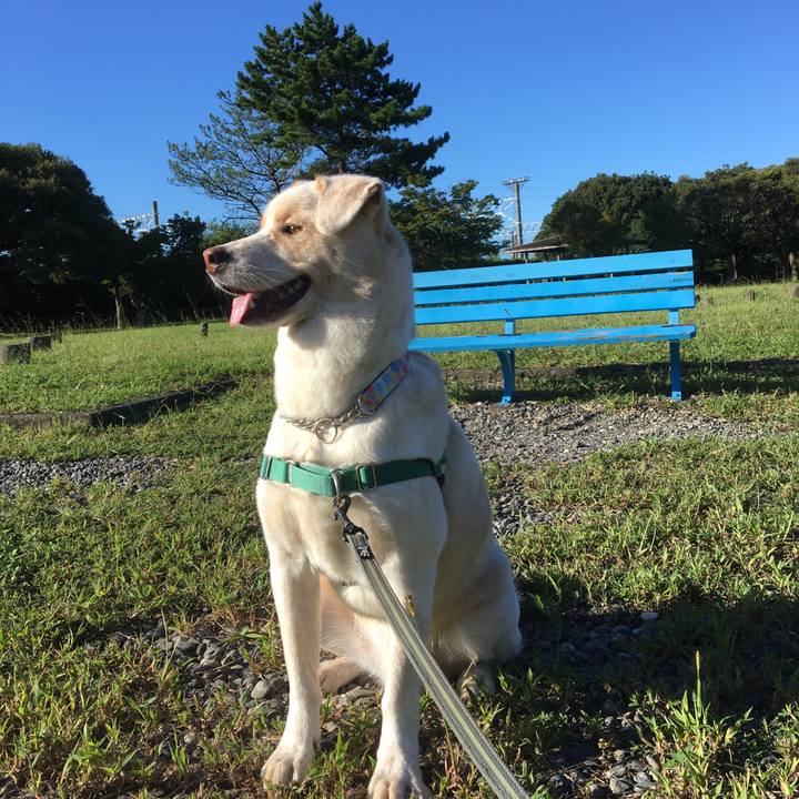 67864ef6 8533 492b a5f7 fe30d55d1bc0