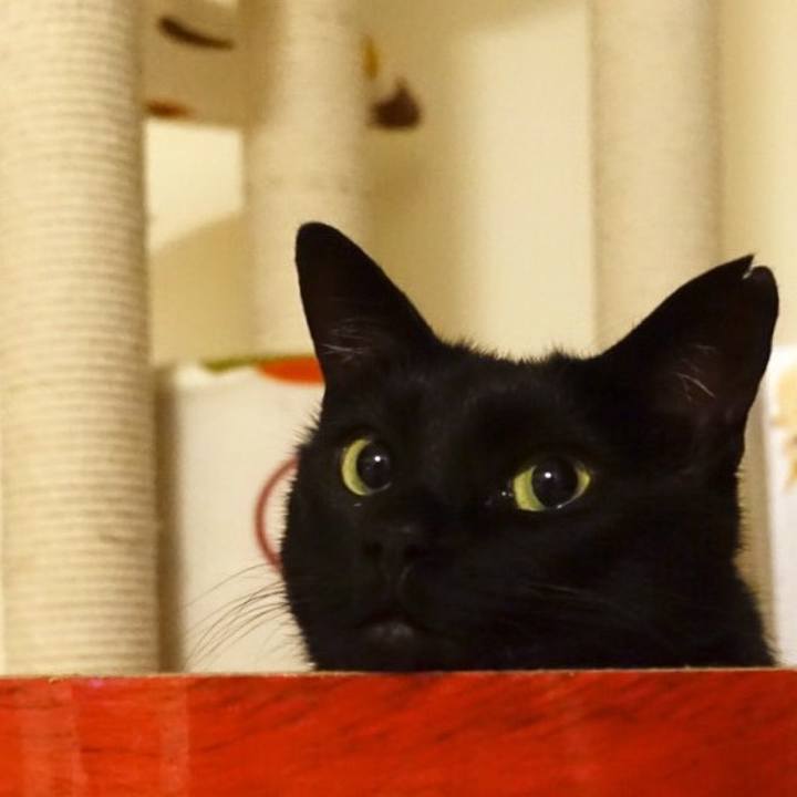 6787119e 03bf 4079 9db7 e10b39a461ac