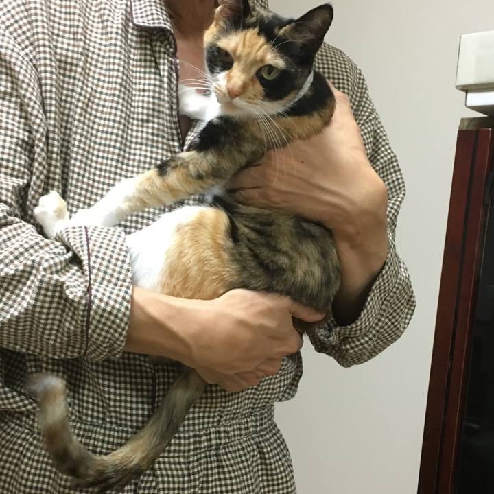 6787c50f e794 4742 b44c 5f1fc12a070d