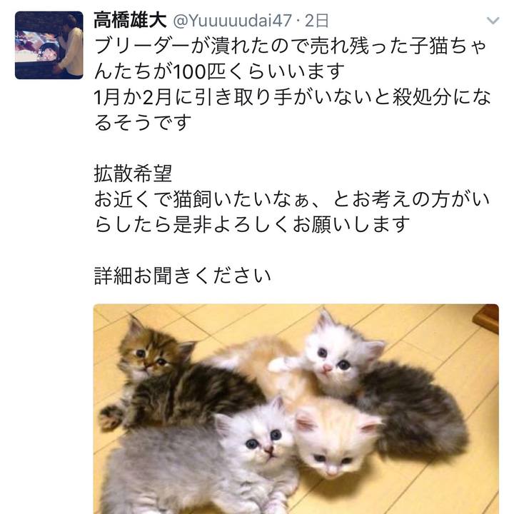 6787e13a 205a 47c2 86f5 f7498fdd2fd1