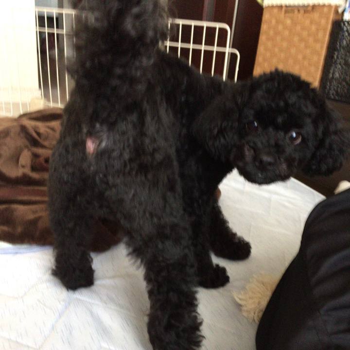 67886527 1599 476b ad3a 76feb033ccf0