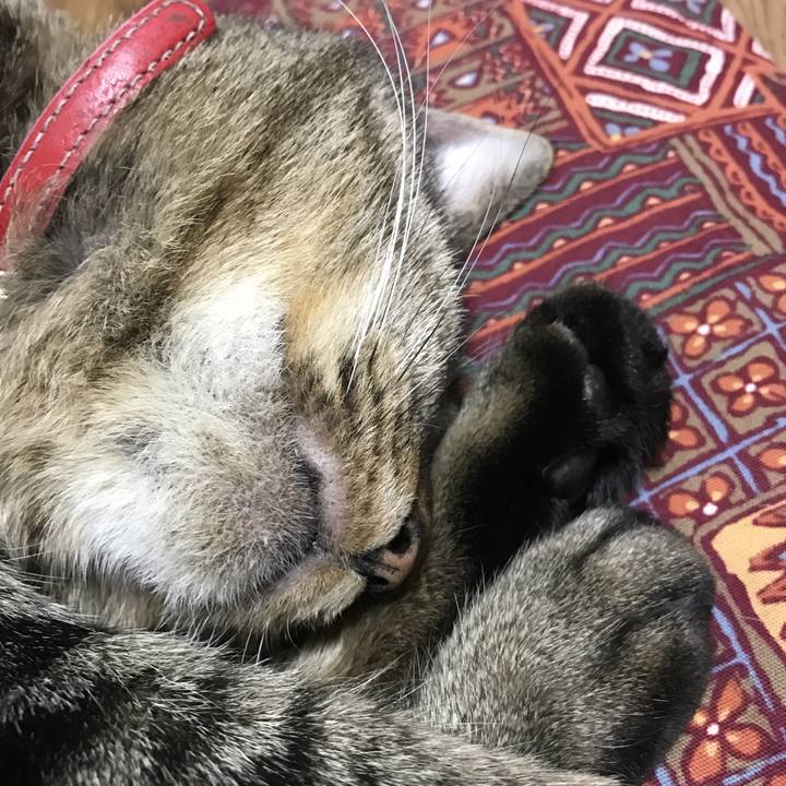 67888a50 8892 4f1a 8a5b 25b1675dcfb0