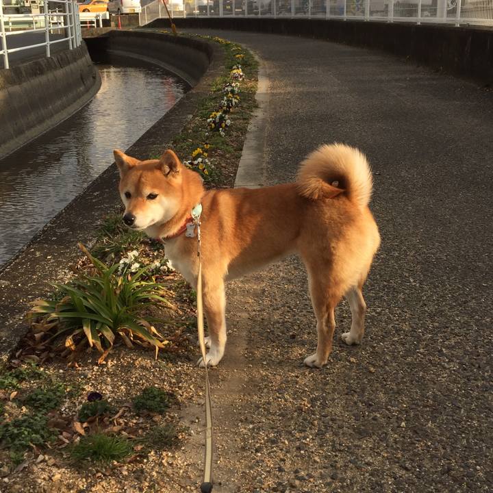 6788a251 a04d 4737 b189 c43ec16af1a9