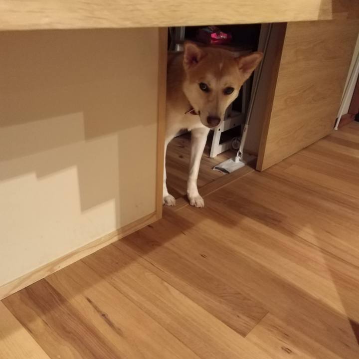 678928d2 3536 4d81 be59 086ba40c3dc8