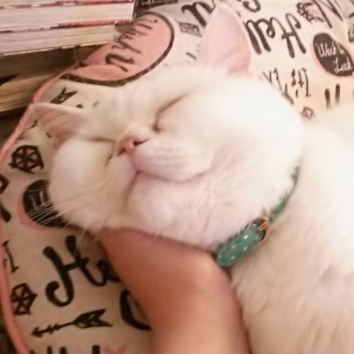 6789882e 3ca2 4c5f bc29 19c9d9f9ffd0