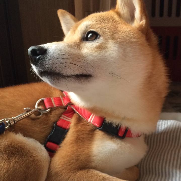 6789d1dd 263b 4a6e b2f9 3da51f69366e