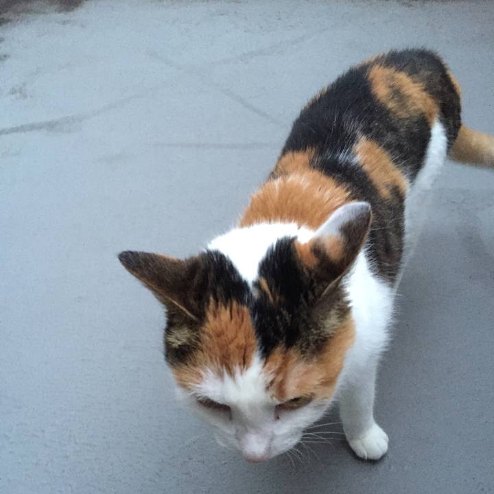 6789f853 be91 4f5b 8390 fc2246b64ee1