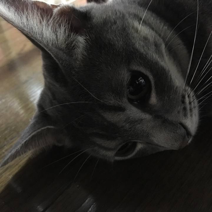 678a874e ce46 4075 b195 5c2244249a27