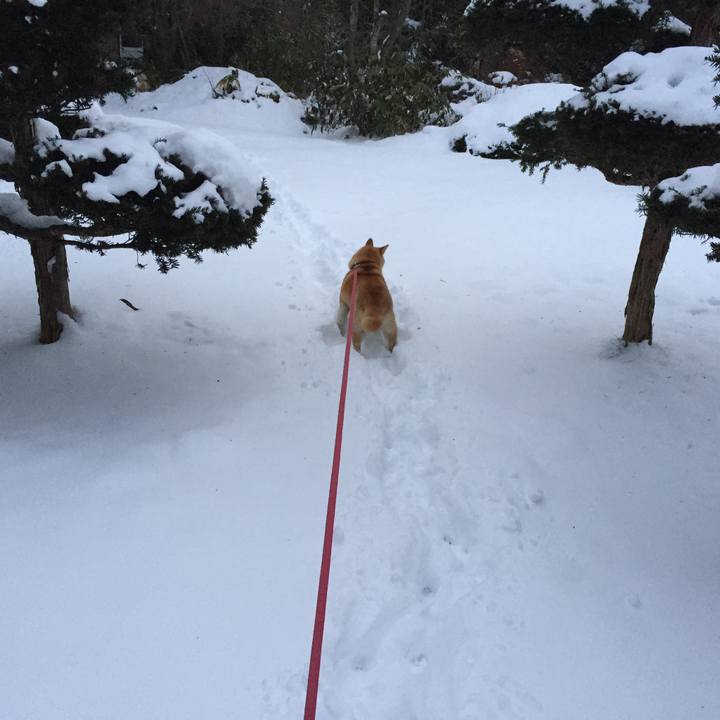 678acad9 2cb3 4fb1 b73b d7d756843701