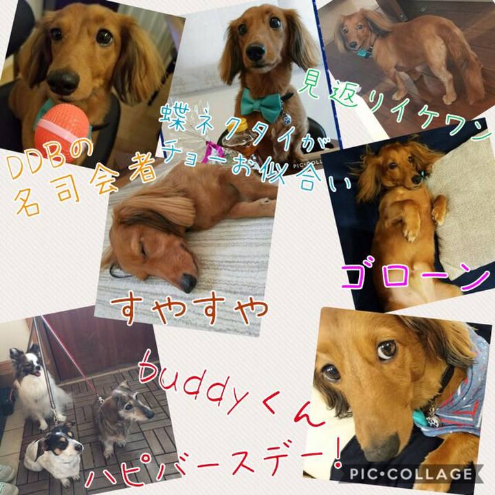 678b4231 4fd4 4b6b 823f 8ed18664cf31