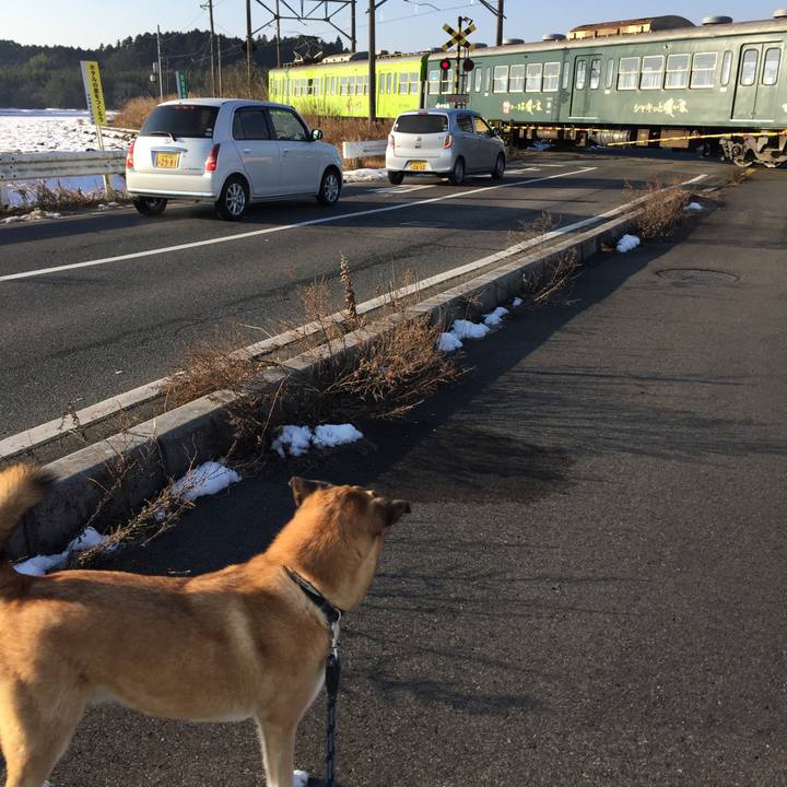 678b7f2d c6bd 4465 b8d1 fc204d7c96aa