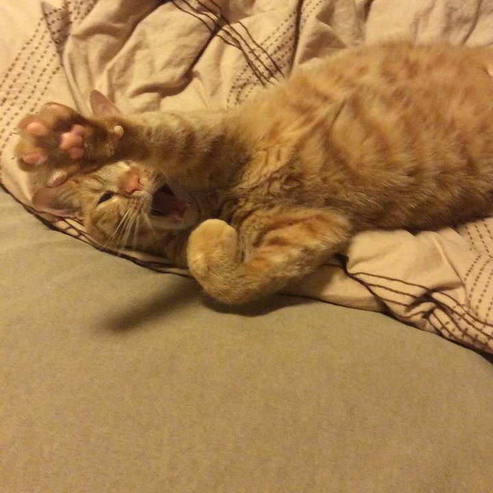 678bb617 a059 4043 883b 715a93891de5