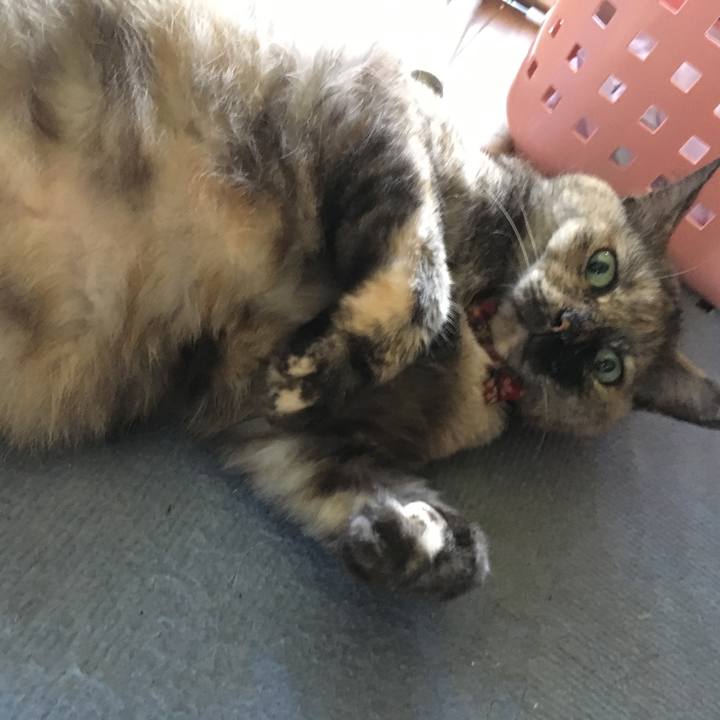 678bbf9c a121 4508 86f9 85c0545d2d37