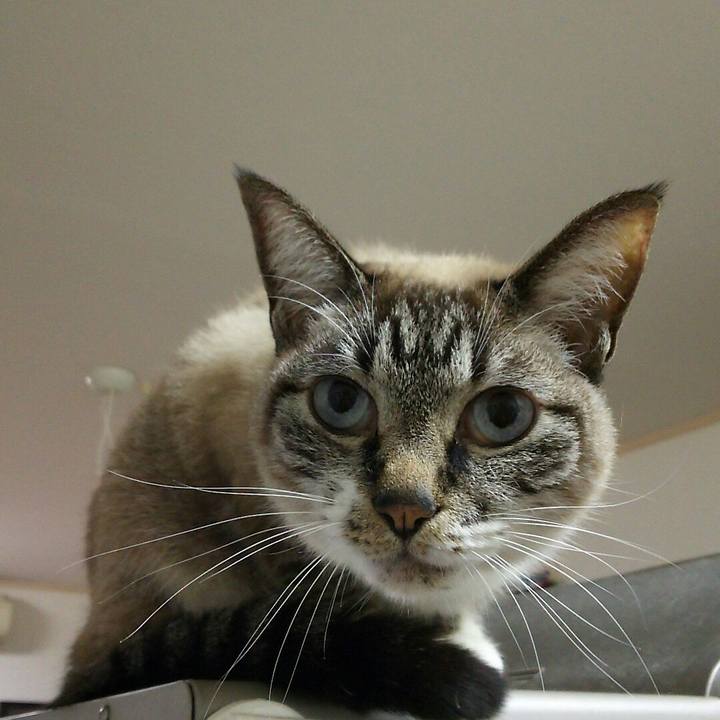 678c2e75 28ca 4c74 a2df ca1563121a86