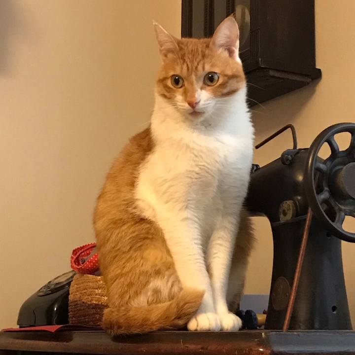 678cd6b7 2670 4eb8 9189 da0b54ac1008