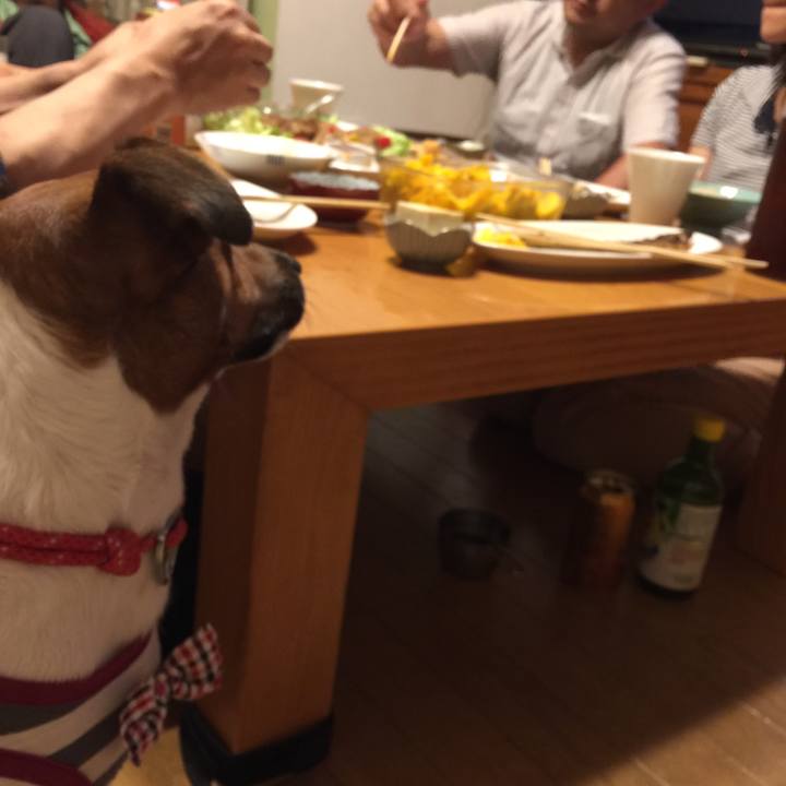 678db443 7771 4ffe ab08 d53af53eadd1