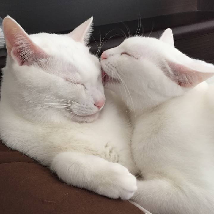 678df8ca 2ca5 440e ba7f c985d51b813c