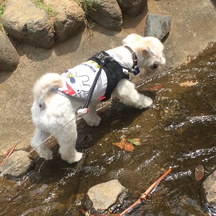 678e2b47 c116 4780 a6e8 d1ce73a0e8c5