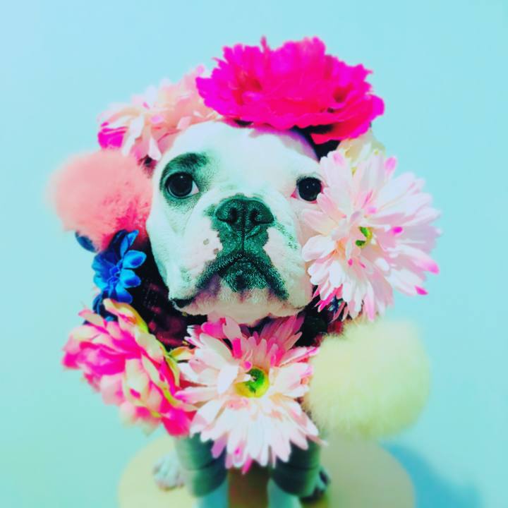 678e3864 4536 4f7f 933c 4a492452544a