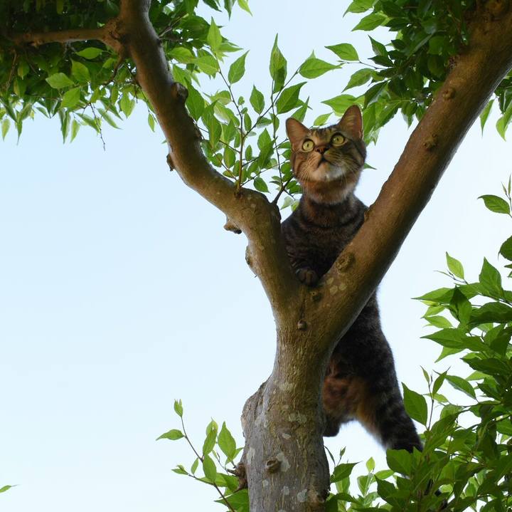 678ec8f5 ba1b 4725 aab7 9e5782b913e4