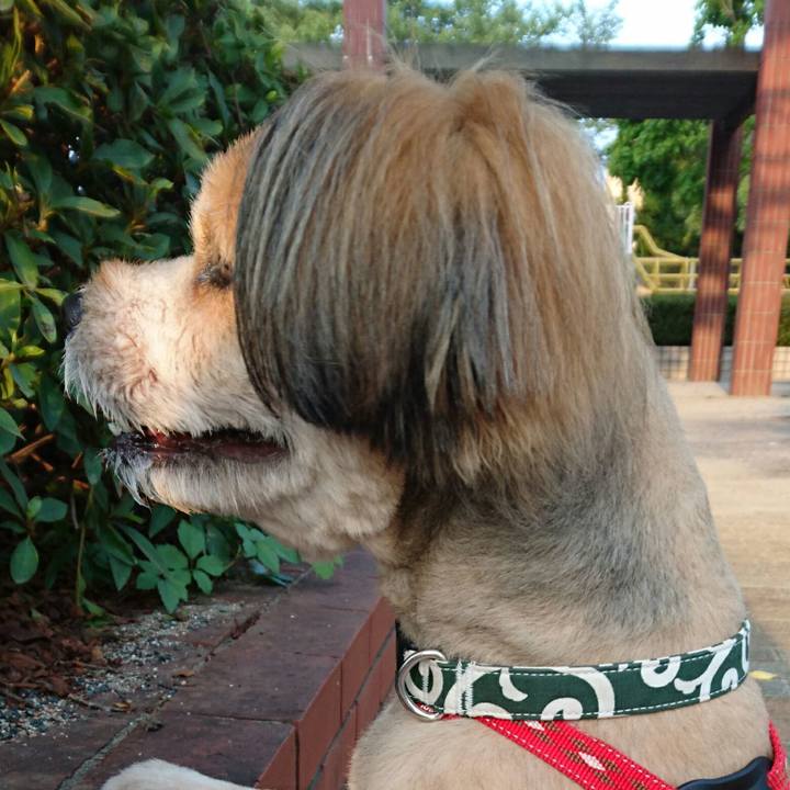 678eee41 e5de 4079 8d13 ab28cdb8d50a