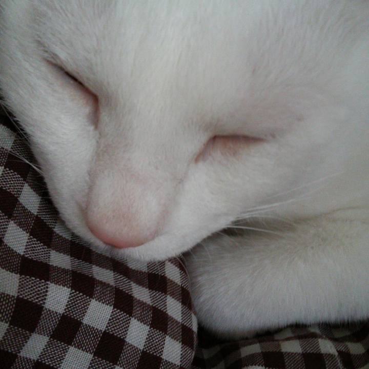 678f35da 6af6 4776 a7e5 2685da57c057