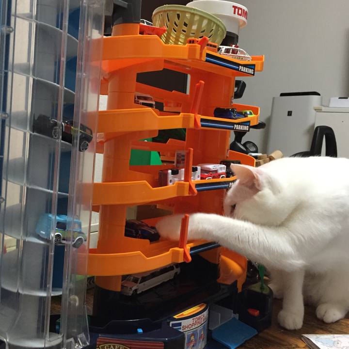 678f679a ee67 4e85 9c9c 9885c73b16d9