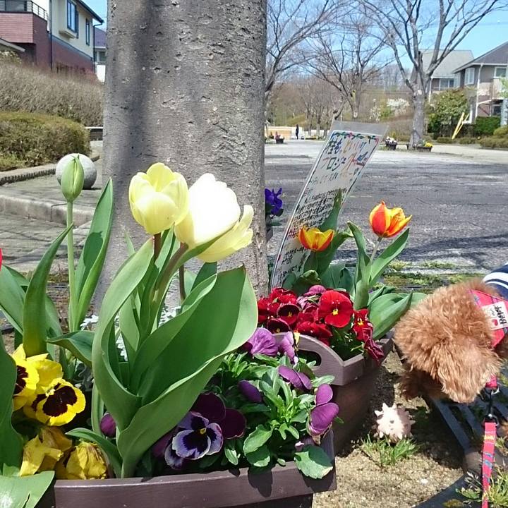 678f7ce1 78df 48fe 9fde 96751aff1aa3