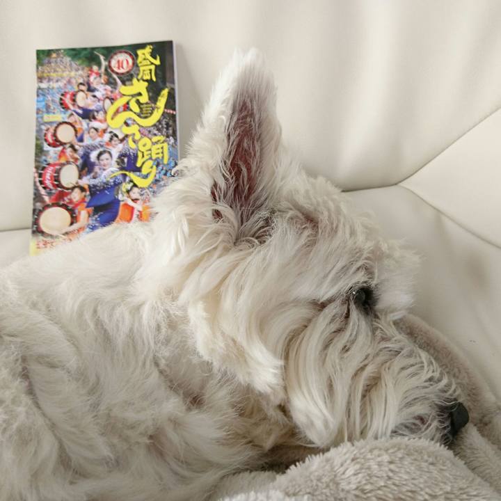 679038d0 aae4 4729 baa9 798b5fb1d221