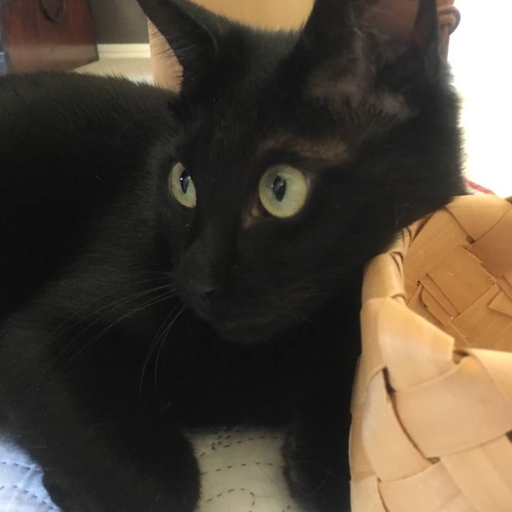 6790dd7e e608 4841 ae51 c6ab2c31c323