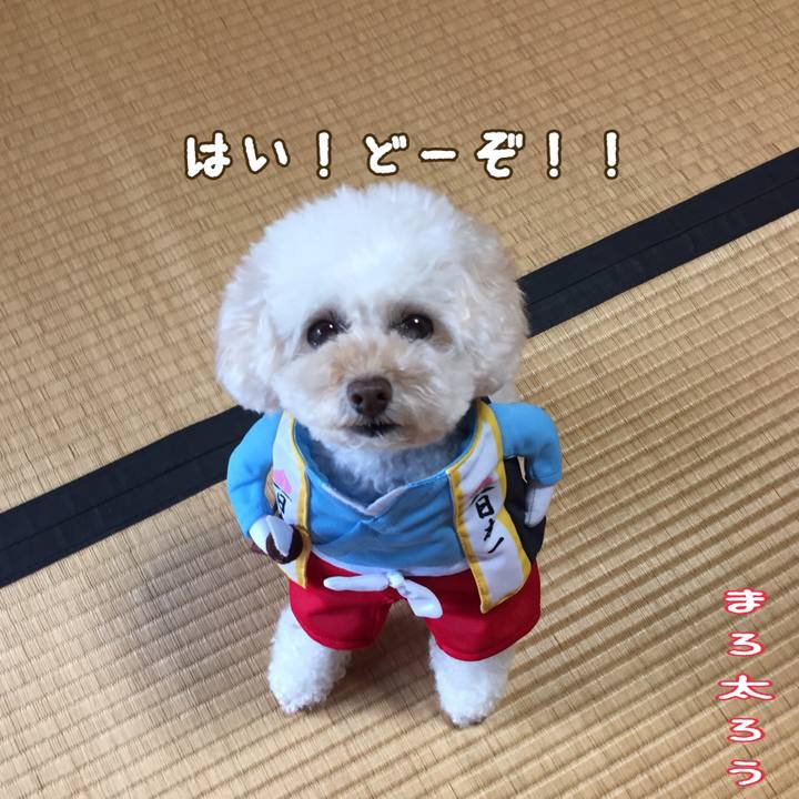 6792032e 0869 47af 998c 14e4e485e232