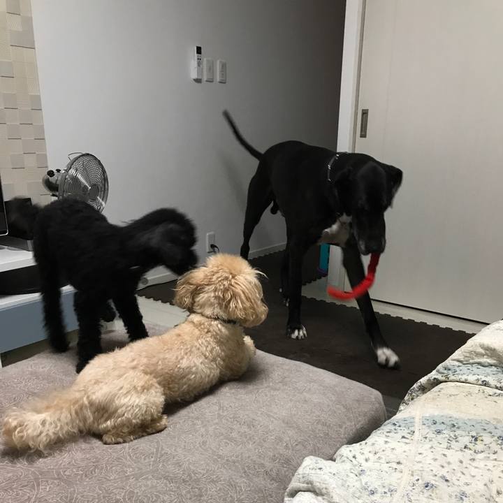 6792210a d6d6 4f8e a840 e288683fe6bf