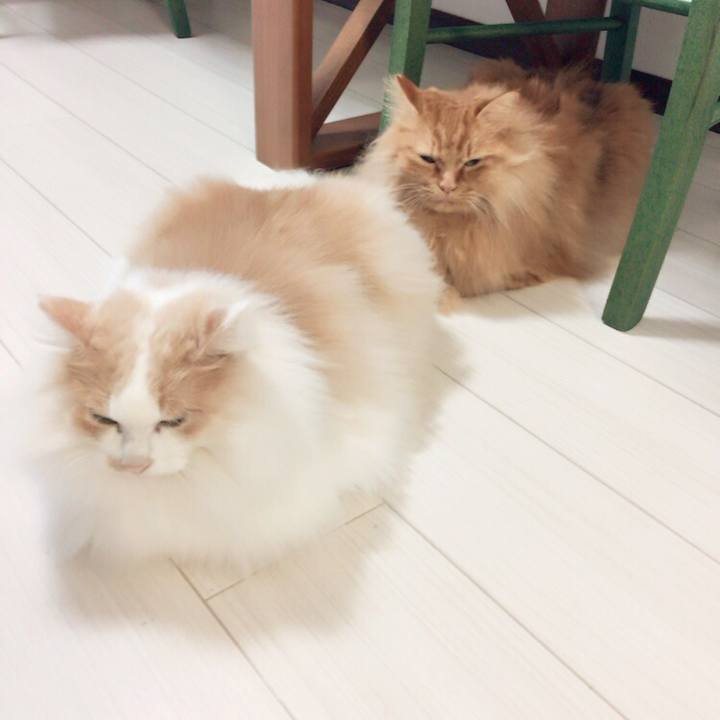 67929138 07fc 47c5 98eb 4155d1e92258