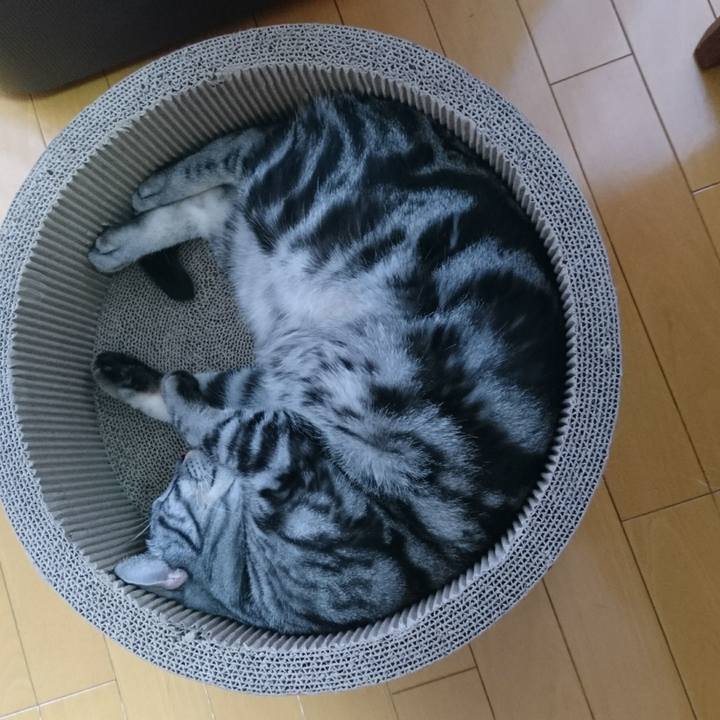 6792920d 6541 4b5a a0de dcae0ab43670