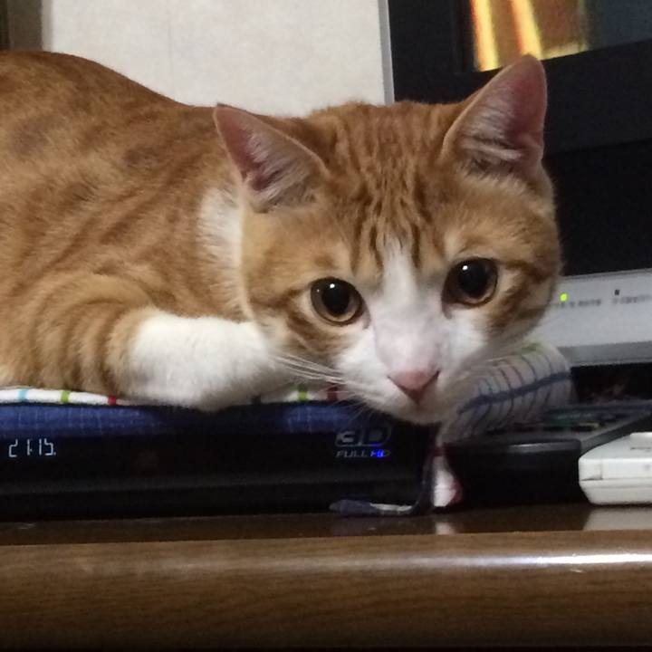 6794abc8 cd94 45b7 918a 5cd03f9fd467