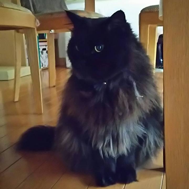 6794eba6 61a8 48cf a547 4a28962ee3a6